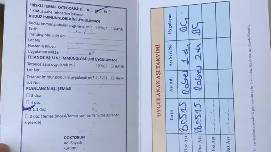 Üniversite Öğrencisi Sokak Köpeklerinin Saldırısına Uğradı