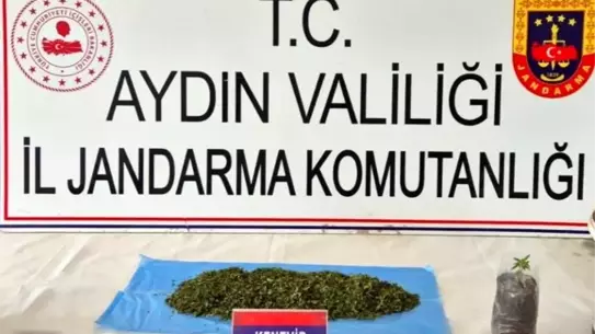 Aydın'da Uyuşturucu Operasyonu: 36 Şüpheli Yakalandı