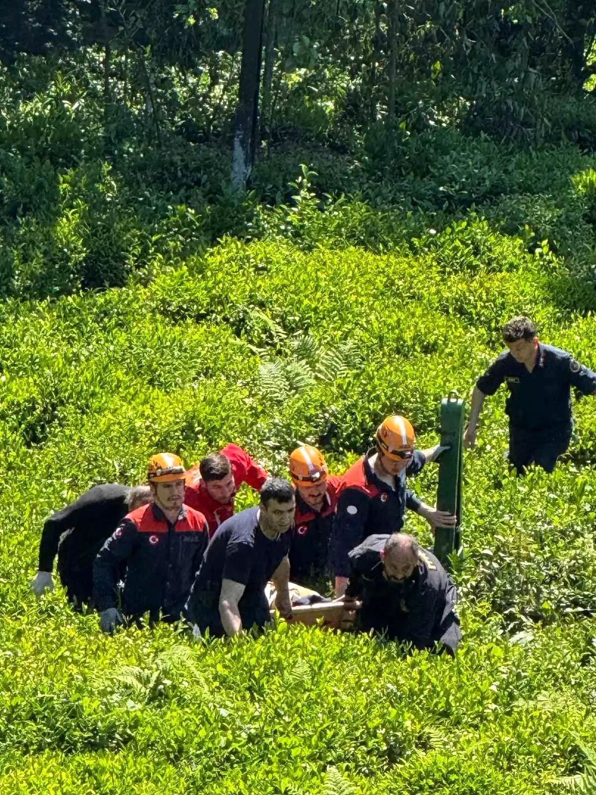 Rize'de Yamaçtan Düşen Çiftçi Kurtarıldı