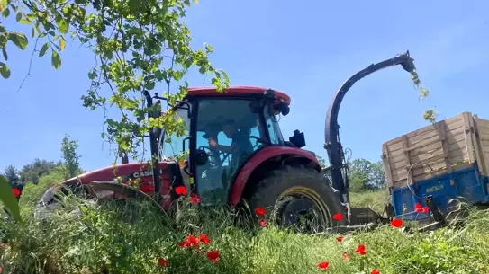 Süt Veriminde %30 Artış