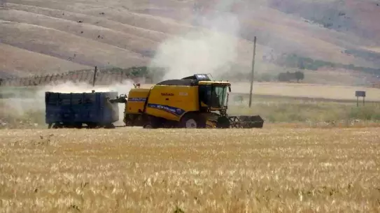 Adıyaman'da Hububat Hasadı Başladı