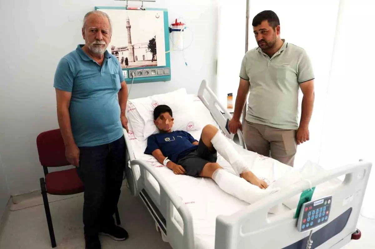 Köyceğiz'de Sokak Köpeklerinin Saldırısına Uğrayan Çocuk Ailesi Şikayetçi Olacak