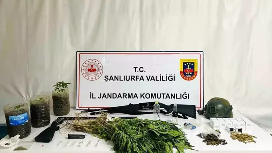 Siverek'te Uyuşturucu Operasyonu: 42 Gözaltı