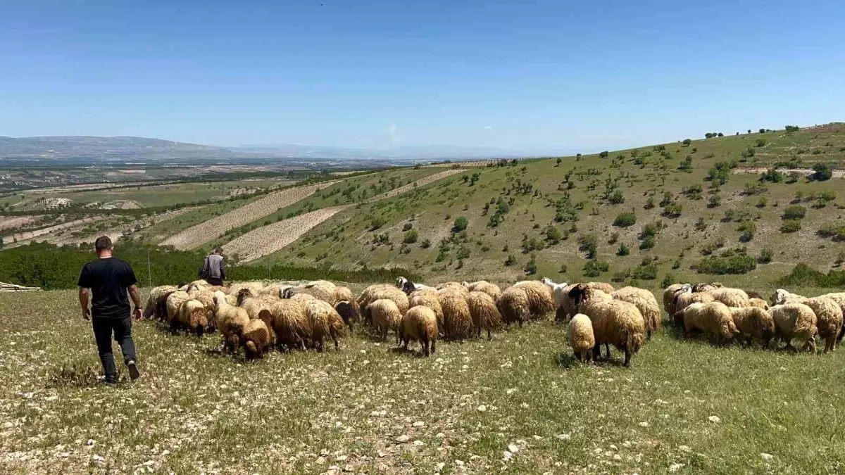 Malatya'da Yayla Göçü Başladı