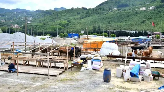 Trabzon'da Kurban Bayramı İçin Hazırlıklar Tamamlandı