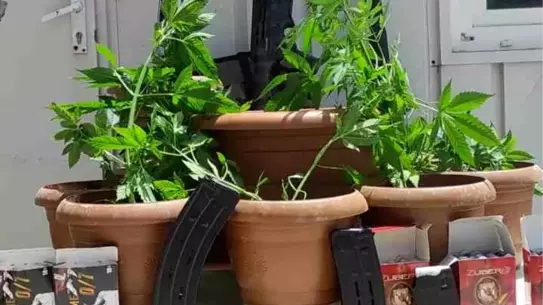 Hatay'da İkamette Hint Keneviri ve Tüfek Ele Geçirildi