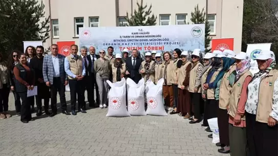 Kars'ta Organik Kaz Yetiştiriciliği Projesi Başladı