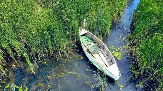 Bursa'da Kaçak Avcılığa Darbe: 466 Kilo Balık Ele Ge geçirildi