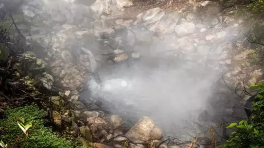 NASA: Volkanik Gaz Ağaçları Yeşertiyor