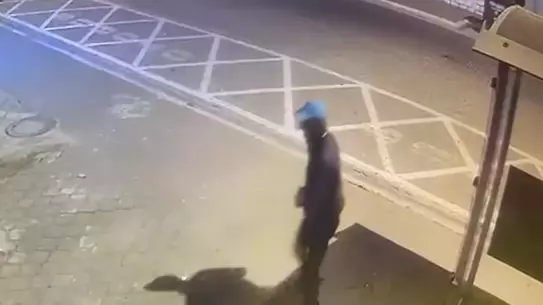 AK Parti İlçe Başkanlığına Taşlı Saldırı Yapan Şüpheli Tutuklandı