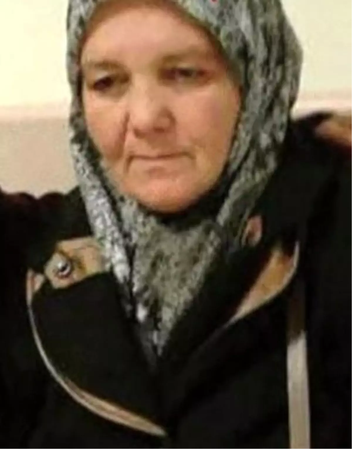 Çaybaşı'nda İntihar ve Eziyet Soruşturması