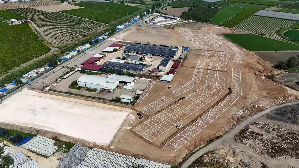 Tarsus'ta Kurban Bayramı İçin Tek Noktada Kurbanlık Satışı