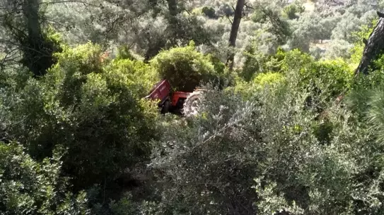 Milas'ta Traktör Kazası: 2 Yaralı