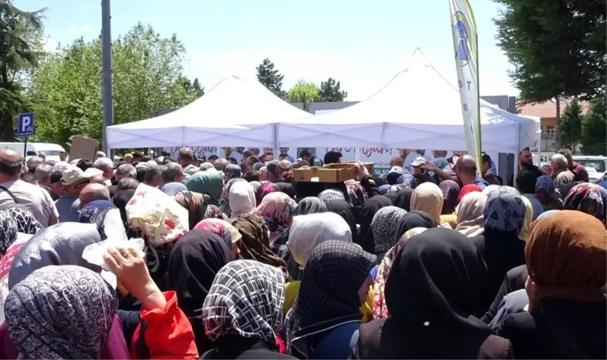 Tavşanlı'da Ücretsiz Fide Dağıtımında İzdiham
