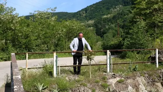 Ordu'nun Sarı Köprüsü Yenileniyor