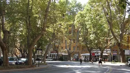 Turist Antik Eseri Skuterle Taşırken Yakalandı