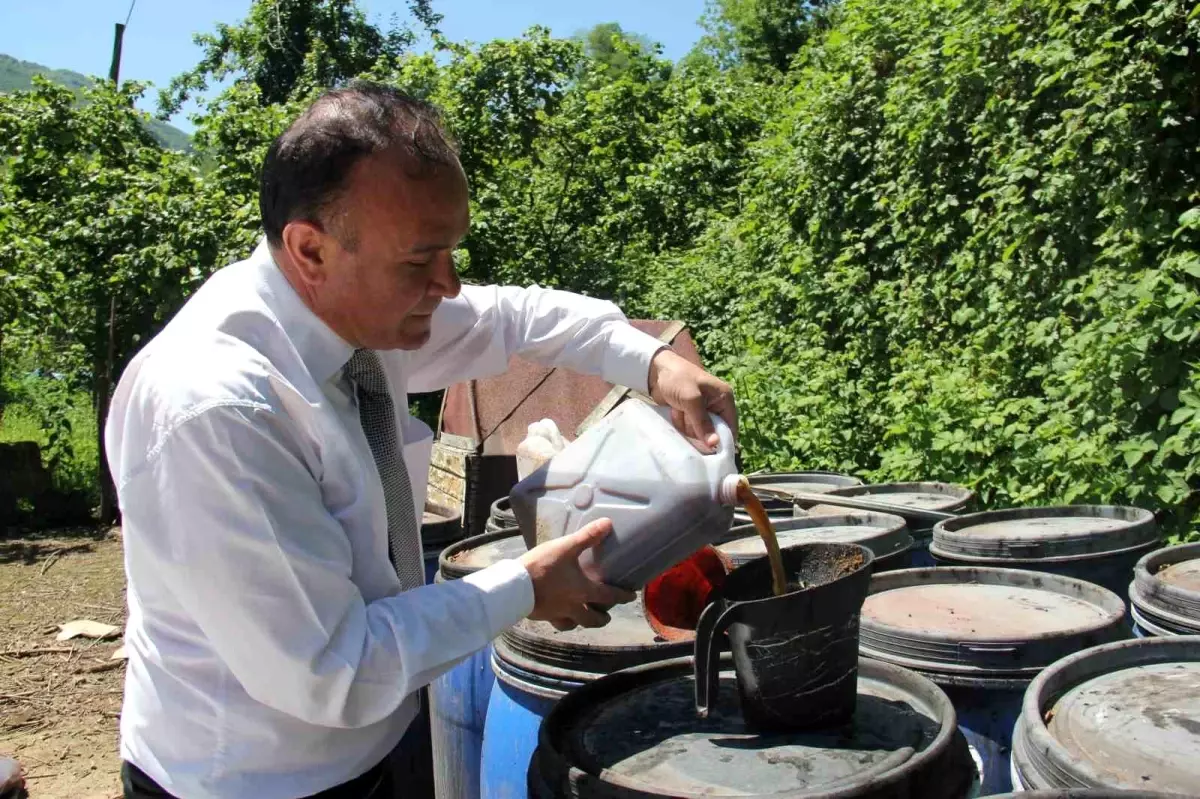 Giresun'da Balık Atıkları ile Tarım Gübresi Üretimi