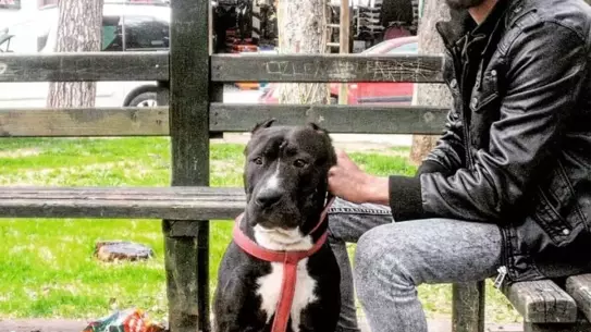 Temizlik İşçisi Cinayeti: Tartışma Sonrası Bıçaklama