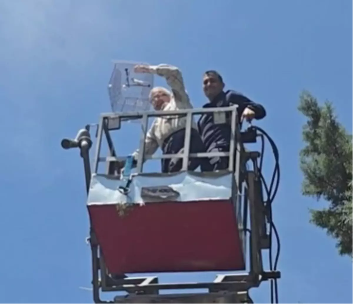 Amasya'da Kuşun Peşinde Mahsur Kaldı