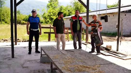 Düzce'de Kurban Kesim ve Satış Yerlerine Denetim Başlatıldı