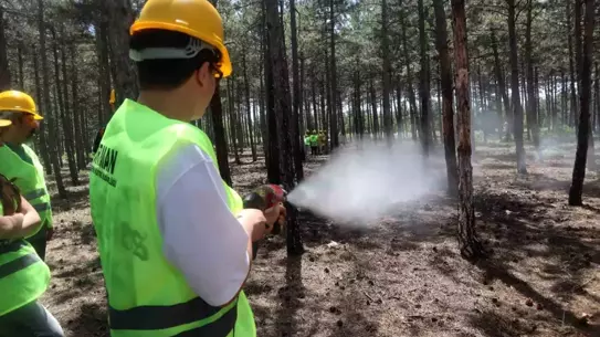 Orman Yangınları İçin Eğitim Tatbikatı