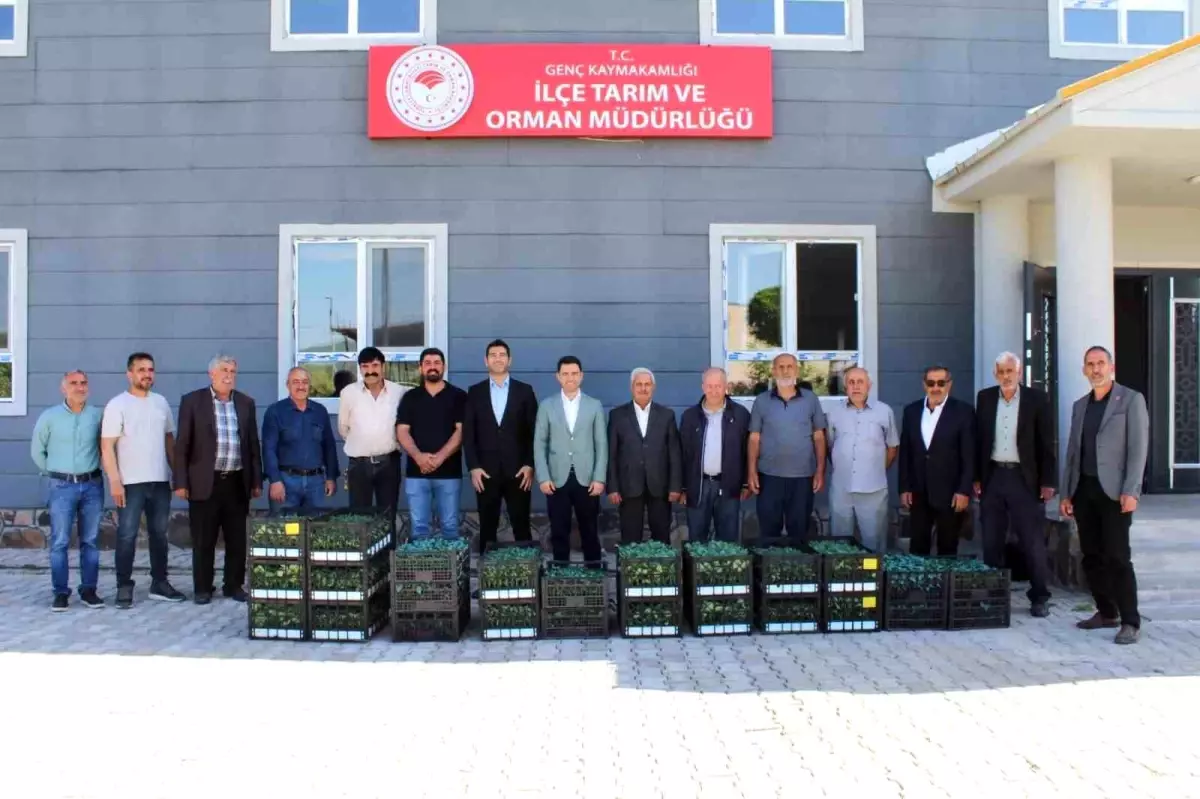 Bingöl'de Üreticilere Fide Desteği