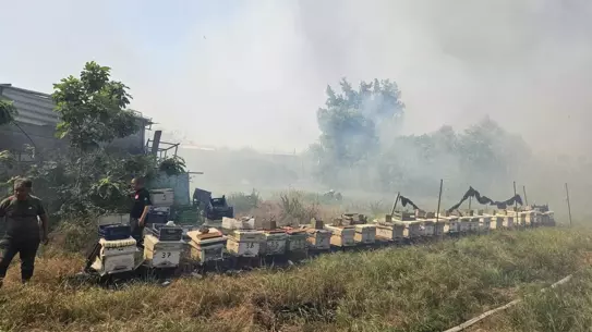 Antalya'da Çalılık Yangını Kontrol Altına Alındı