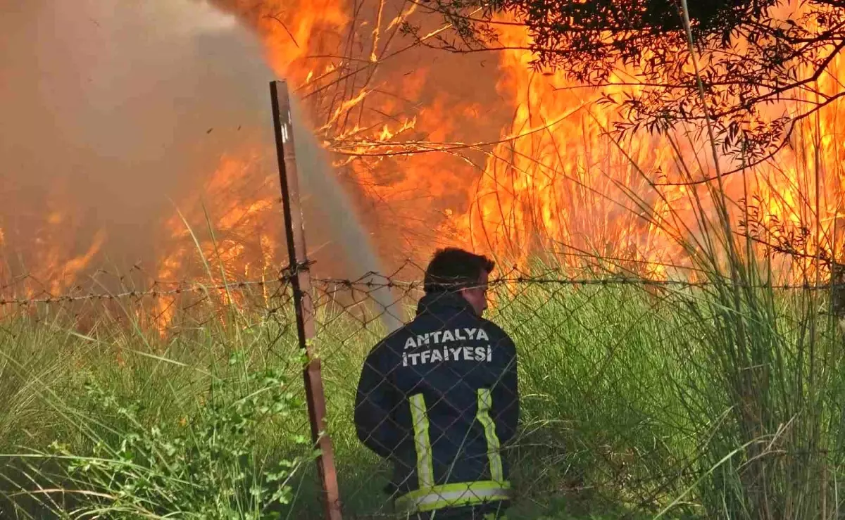 Antalya’da Kargılıkta Yangın!