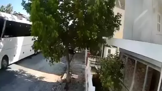 Tur Otobüsü Şoförü Sokak Köpeğini Ezdi