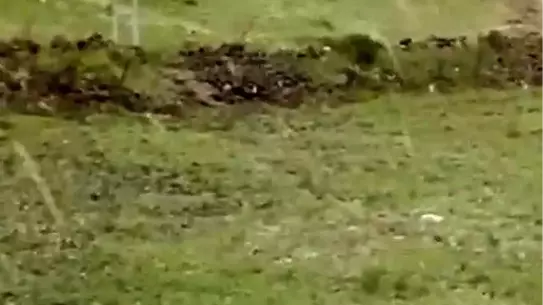 Kars'ta Şiddetli Rüzgar Hayatı Olumsuz Etkiledi