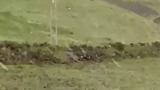 Kars'ta Şiddetli Rüzgar Evlerin Çatısını Uçurdu