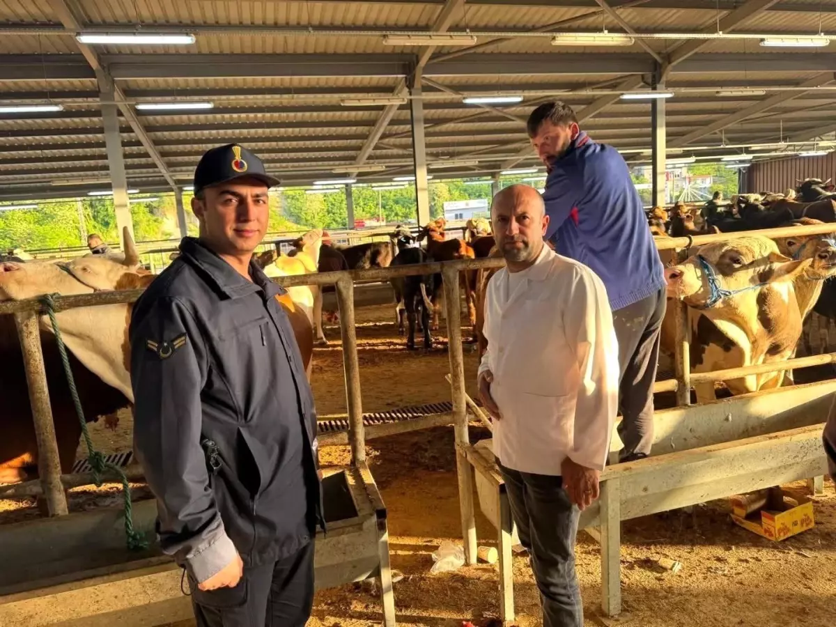 Fatsa'da Kurban Bayramı Denetimleri Artırıldı