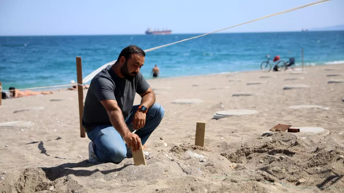 Konyaaltı'nda Caretta Caretta Yuvaları Korundu