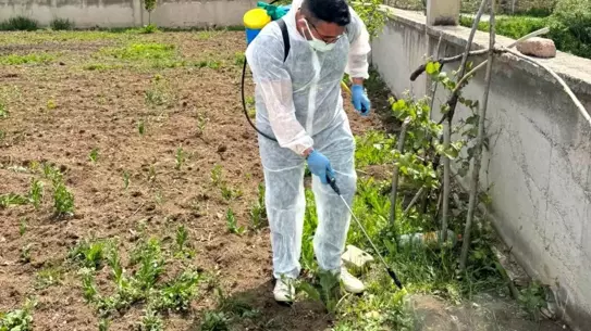 Aydıntepe'de Yabancı Ot Mücadelesi