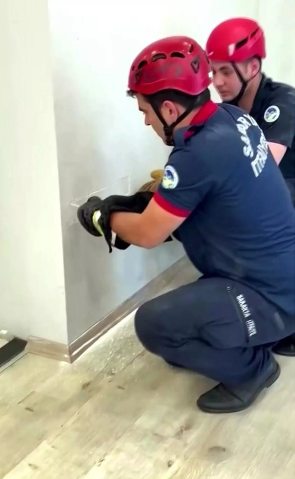 Sakarya'da Sıkışan Yavru Kedi İtfaiye Ekipleri Tarafından Kurtarıldı