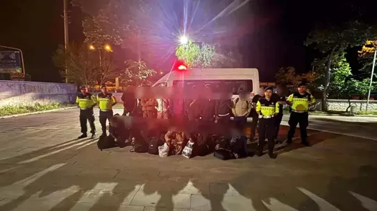 Aydın'da 12 Düzensiz Göçmen ve Organizatör Yakalandı