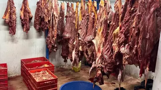 Yüreğir'de 3 Ton Bozuk Et Ele Geçirildi