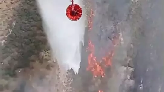 Foça'da Tarım Arazisinde Yangın