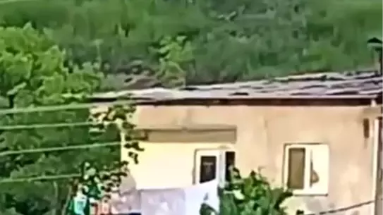 Gümüşhane'de Gündüz Ayı Tedirginliği