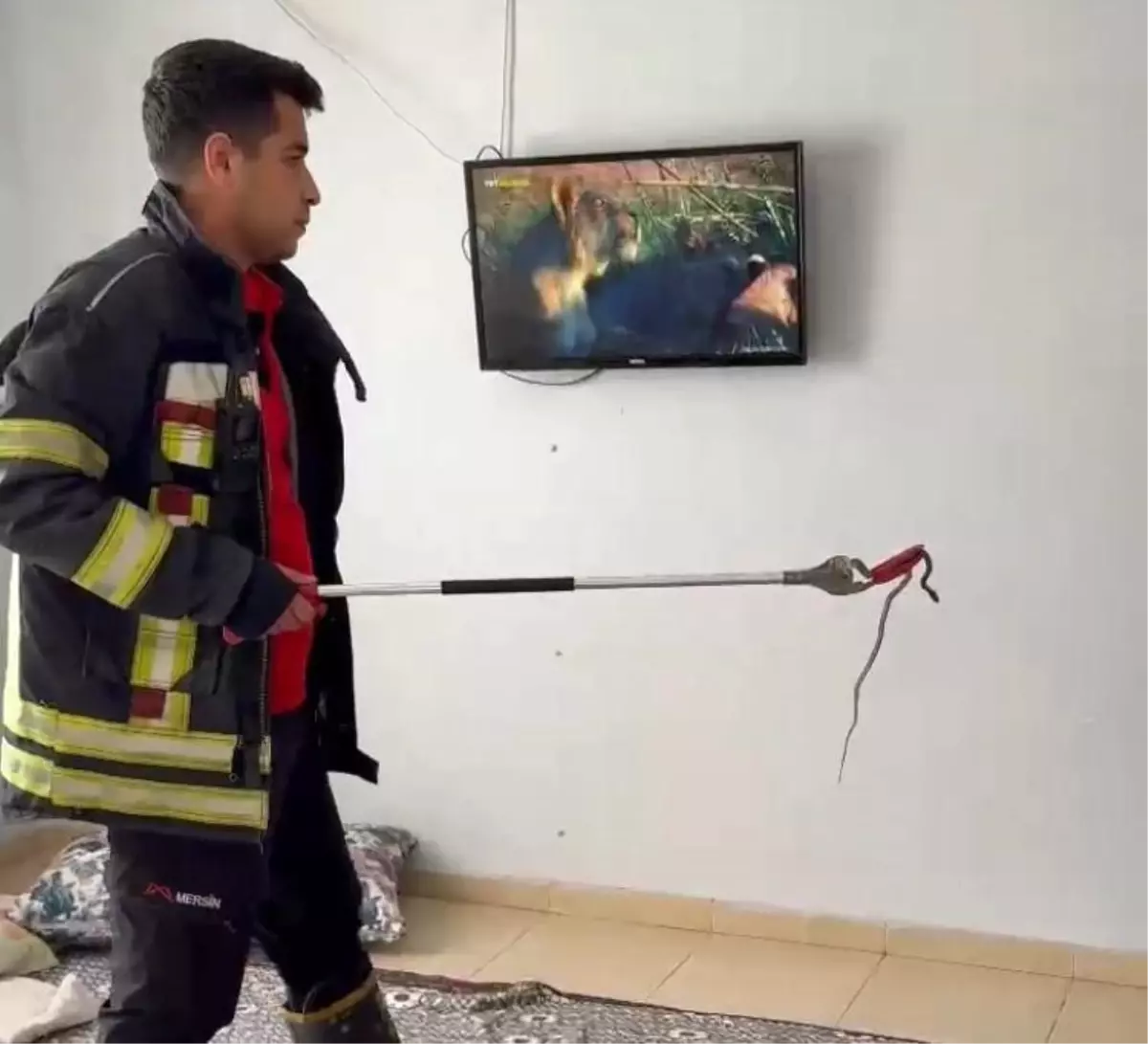 Mersin'de Yılan İtfaiye Ekipleri Tarafından Yakalandı