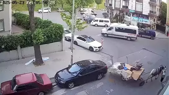 Esenyurt'ta At Arabası Park Halindeki Araca Çarptı