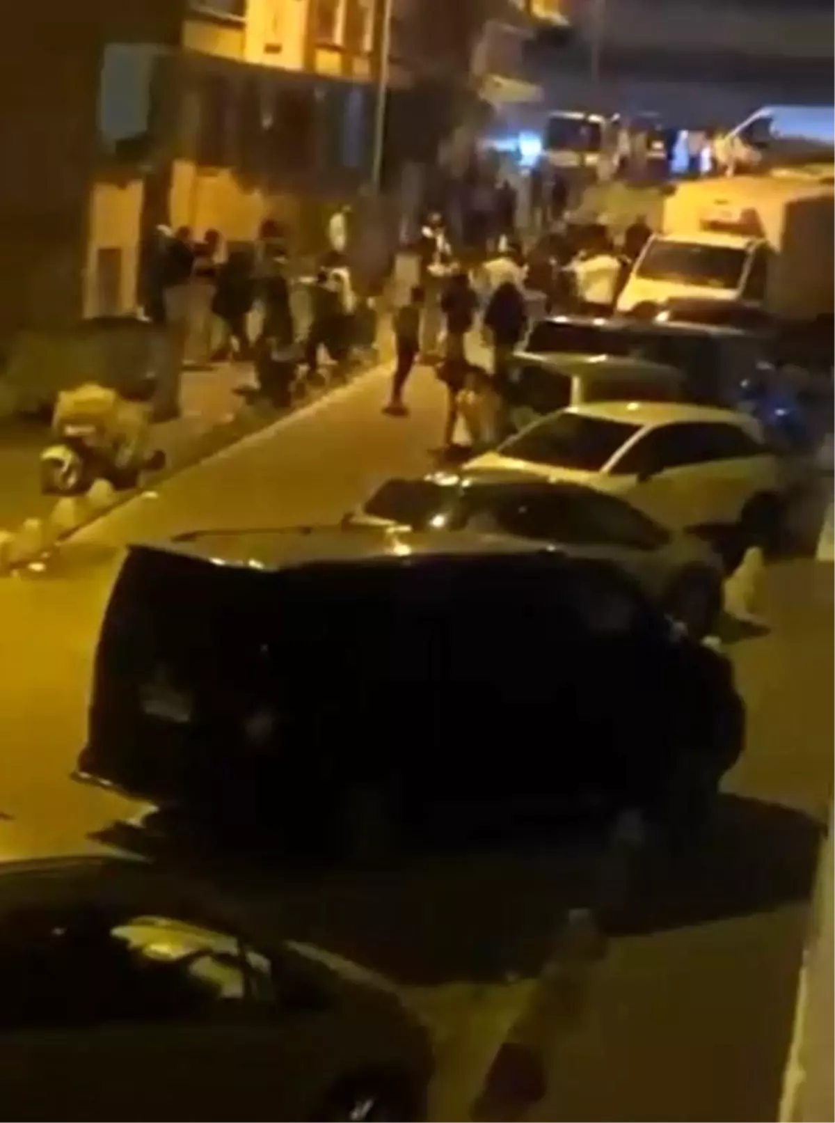 Esenyurt'ta Köpek Kavgası