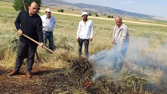 Gaziantep'te Firik Sezonu Başladı