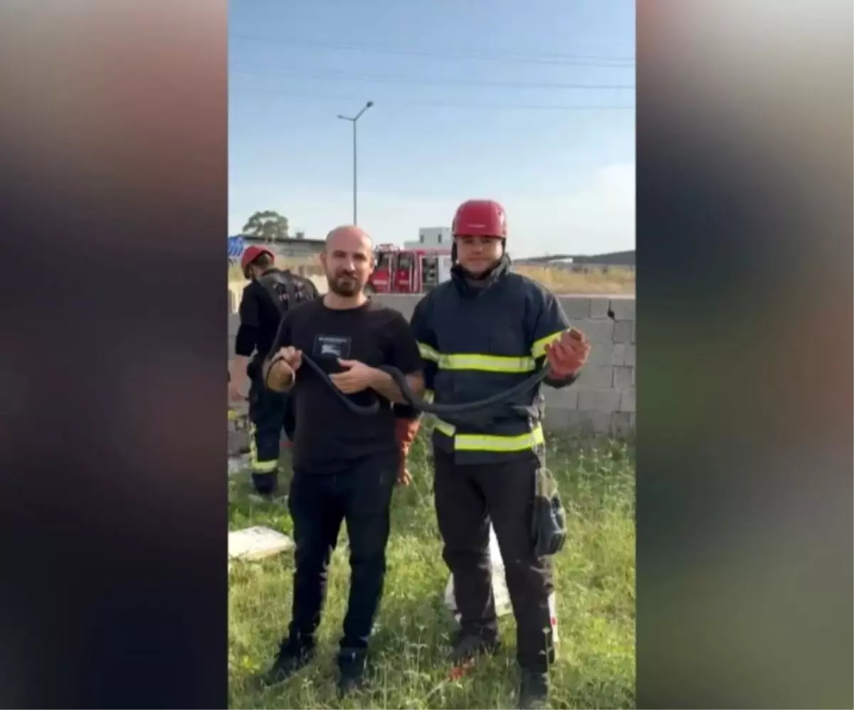 Osmaniye'de Bahçeye Giren Yılanı Yakalayan İtfaiyeci Su İkram Etti
