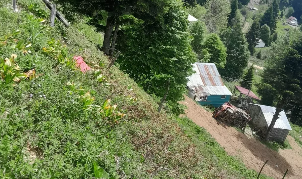 Akyazı'da Kamyonet Kazası: 1 Ölü, 1 Yaralı