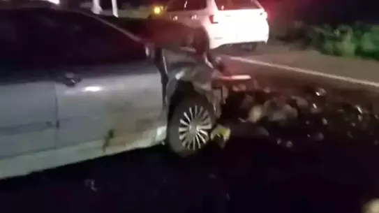 Iğdır'da Hayvan Sürüsüne Otomobil Çarptı