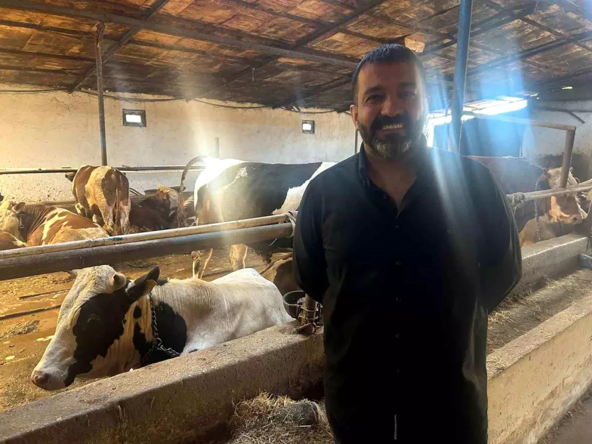 Eskişehir'de Kurbanlık Fiyatları Stabil