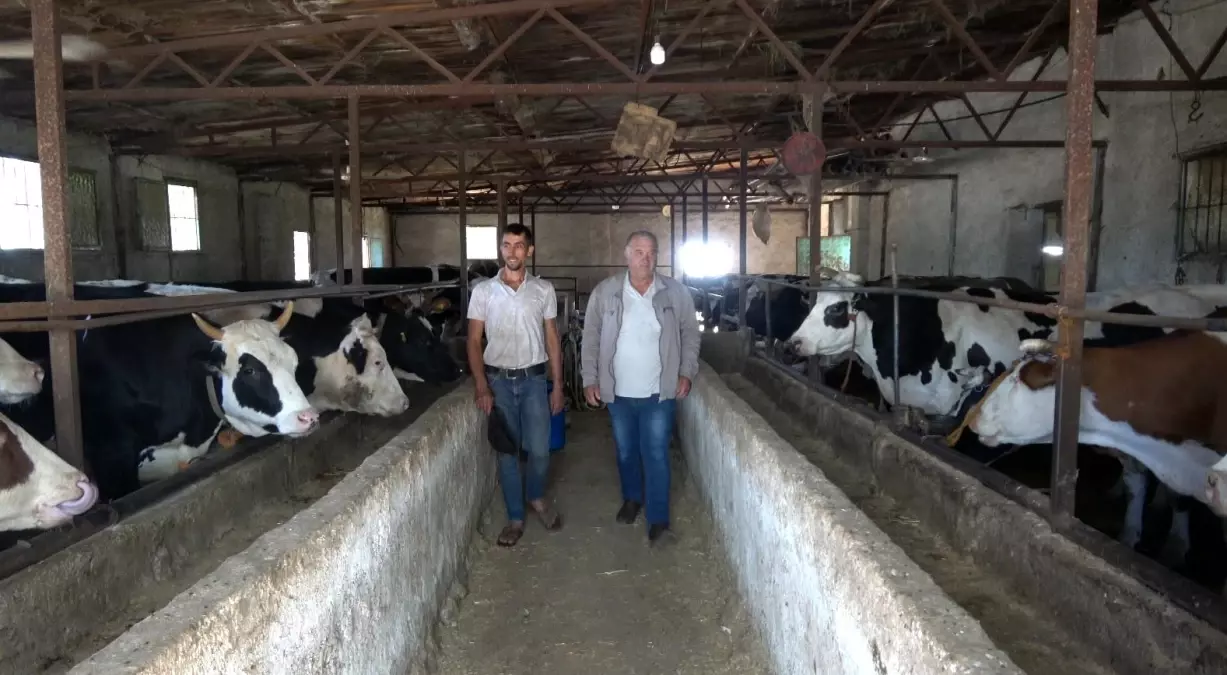 Kurbanlık Hayvan Uyarısı!