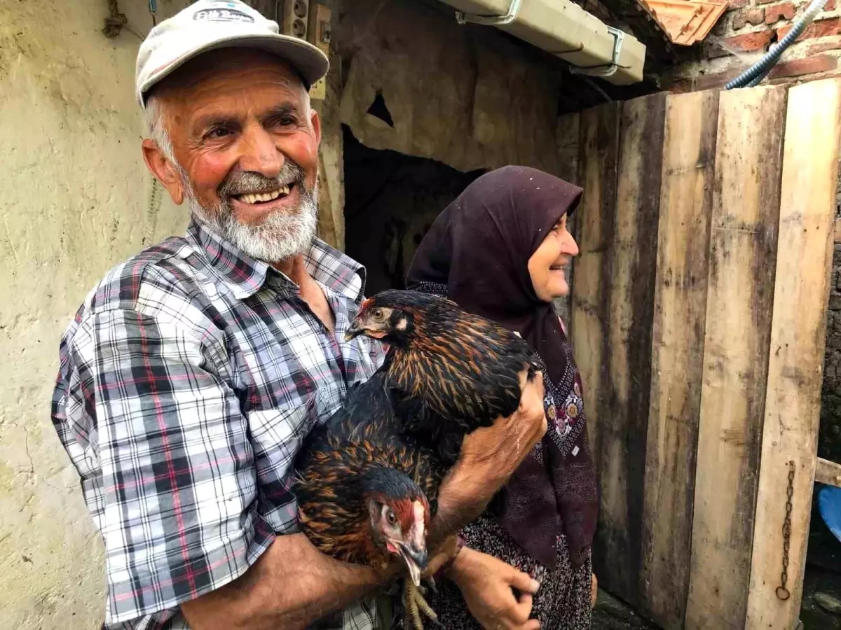 Kocaeli'de Çiftçilere %50 Hibeli Yumurta Tavukçuluğu Desteği