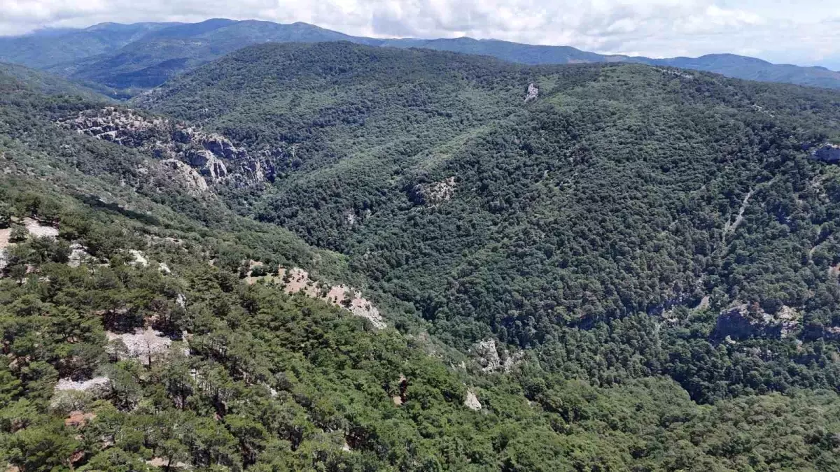 Çanakkale'de Kaybolan Müdür Yardımcısı İçin Arama Çalışmaları Başlatıldı